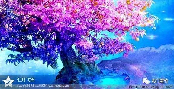 荣耀之剑中文版
